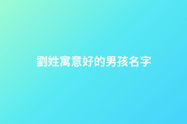 劉姓寓意好的男孩名字(劉姓有寓意男孩名字)-第1張-男孩起名-玄機派