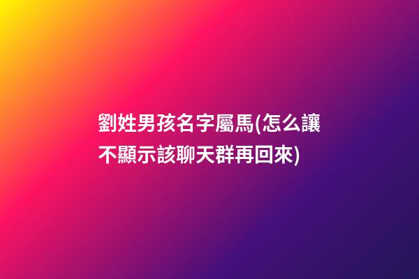 劉姓男孩名字屬馬(怎么讓不顯示該聊天群再回來)