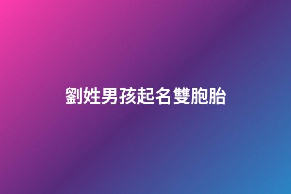 劉姓男孩起名雙胞胎(劉姓男孩起名雙胞胎名字)-第1張-男孩起名-玄機派