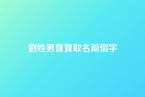 劉姓男寶寶取名兩個字(劉姓男寶寶取名兩個字的名字)-第1張-男孩起名-玄機派