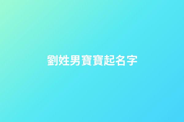劉姓男寶寶起名字(劉姓男孩兒名字)-第1張-男孩起名-玄機派
