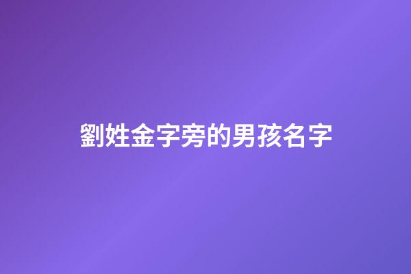 劉姓金字旁的男孩名字(劉姓金字旁的男孩名字有哪些)-第1張-男孩起名-玄機(jī)派