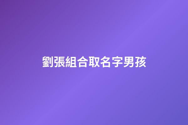 劉張組合取名字男孩(劉張組合取名字男孩怎么取)-第1張-男孩起名-玄機派