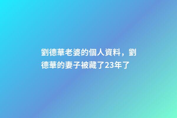 劉德華老婆的個人資料，劉德華的妻子被藏了23年了-第1張-觀點-玄機派