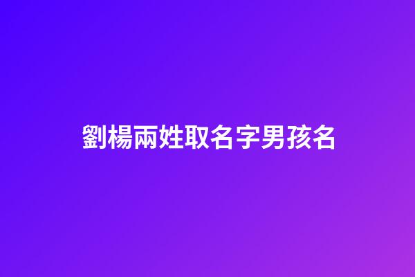 劉楊兩姓取名字男孩名(劉楊取名字怎么取)-第1張-男孩起名-玄機派