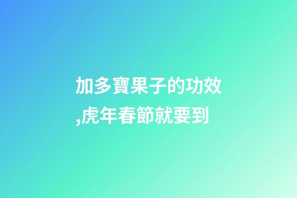 加多寶果子的功效,虎年春節就要到-第1張-觀點-玄機派