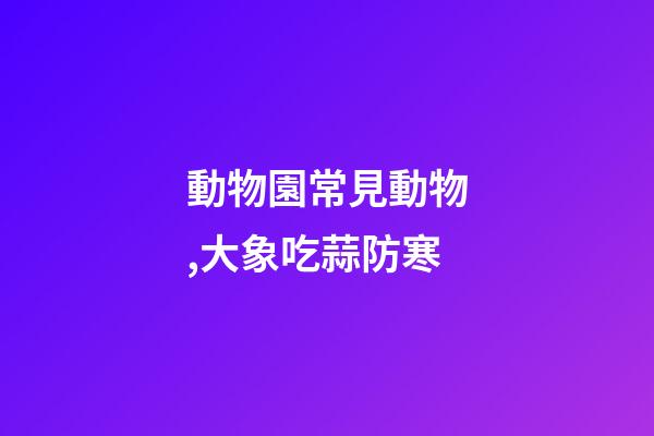 動物園常見動物,大象吃蒜防寒-第1張-觀點-玄機派