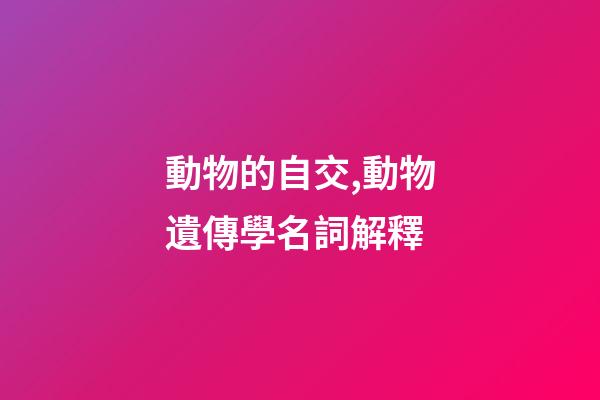 動物的自交,動物遺傳學名詞解釋-第1張-觀點-玄機派