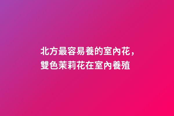 北方最容易養的室內花，雙色茉莉花在室內養殖-第1張-觀點-玄機派