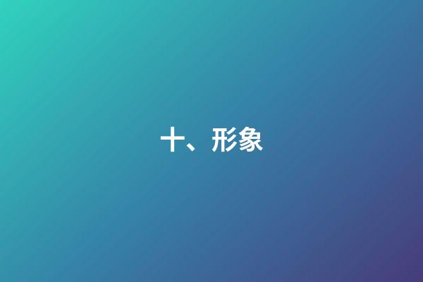 十、形象