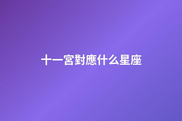 十一宮對應什么星座