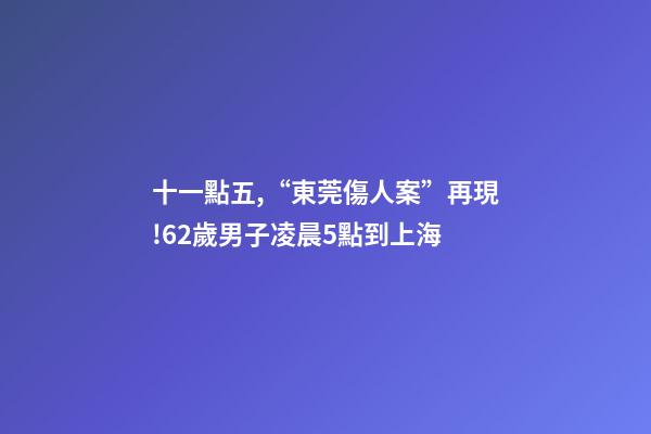 十一點五,“東莞傷人案”再現!62歲男子凌晨5點到上海-第1張-觀點-玄機派