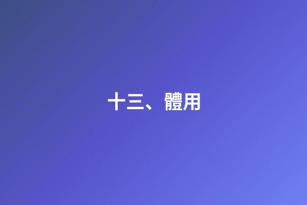 十三、體用
