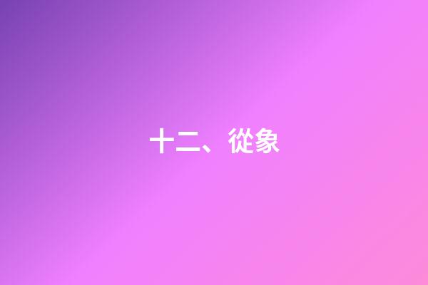 十二、從象