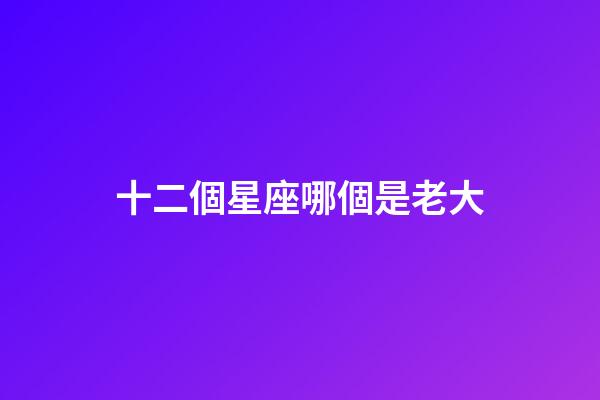 十二個星座哪個是老大-第1張-星座運勢-玄機派