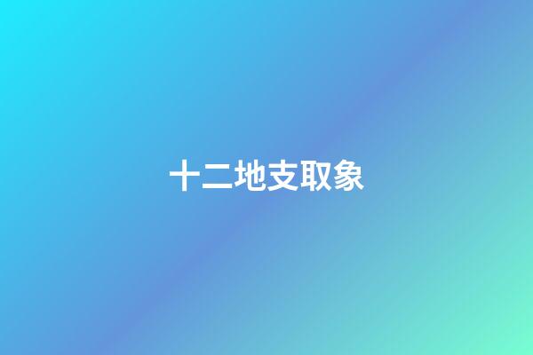 十二地支取象