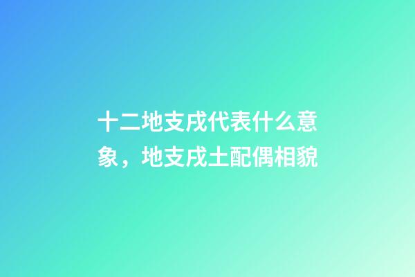 十二地支戌代表什么意象，地支戌土配偶相貌