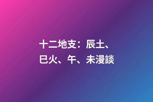 十二地支：辰土、巳火、午、未漫談