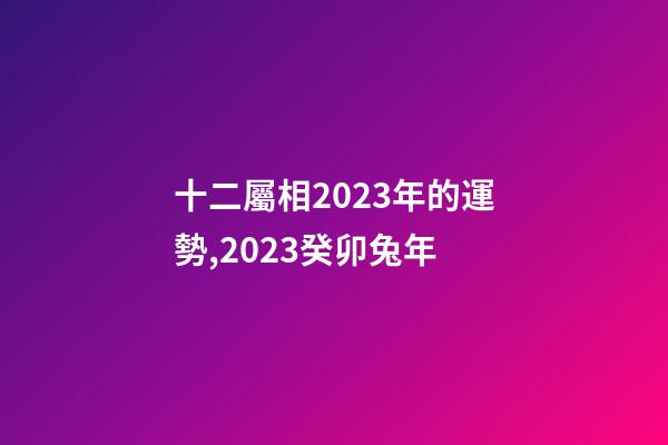 十二屬相2023年的運勢,2023癸卯兔年-第1張-觀點-玄機派