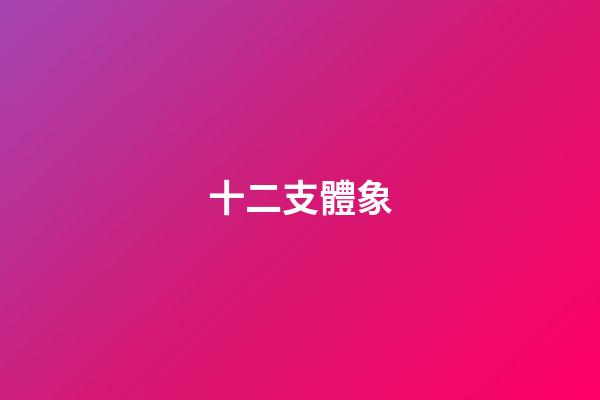 十二支體象