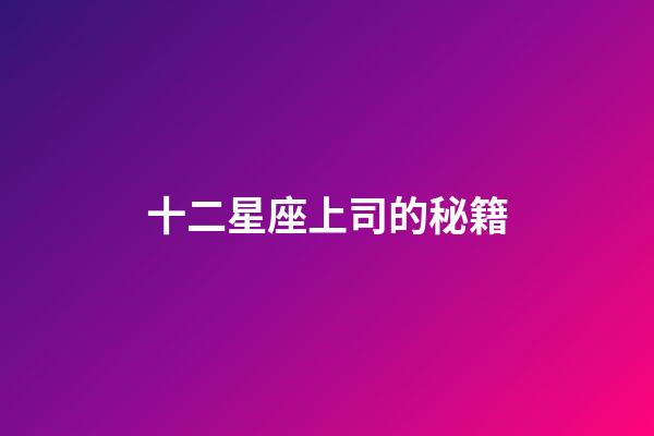 十二星座上司的秘籍