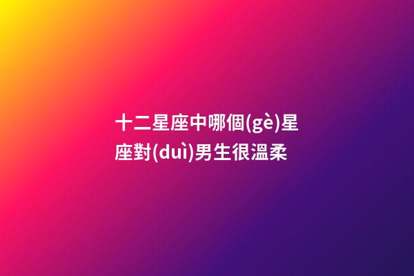 十二星座中哪個(gè)星座對(duì)男生很溫柔-第1張-星座運(yùn)勢(shì)-玄機(jī)派