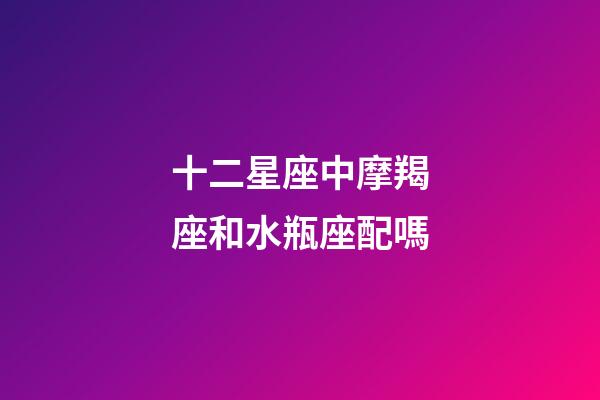十二星座中摩羯座和水瓶座配嗎-第1張-星座運勢-玄機派