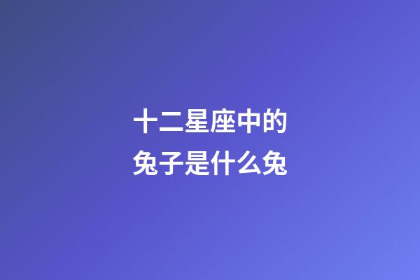 十二星座中的兔子是什么兔-第1張-星座運(yùn)勢(shì)-玄機(jī)派