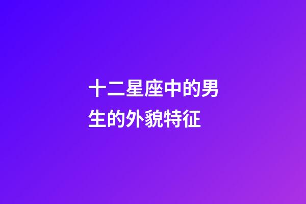 十二星座中的男生的外貌特征-第1張-星座運勢-玄機派