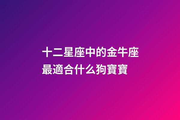 十二星座中的金牛座最適合什么狗寶寶