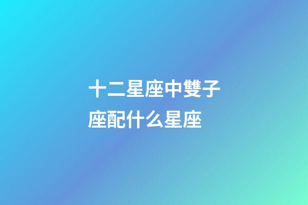 十二星座中雙子座配什么星座-第1張-星座運勢-玄機派