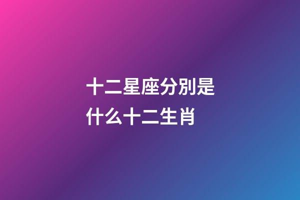 十二星座分別是什么十二生肖-第1張-星座運勢-玄機派