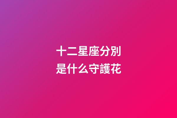 十二星座分別是什么守護花-第1張-星座運勢-玄機派