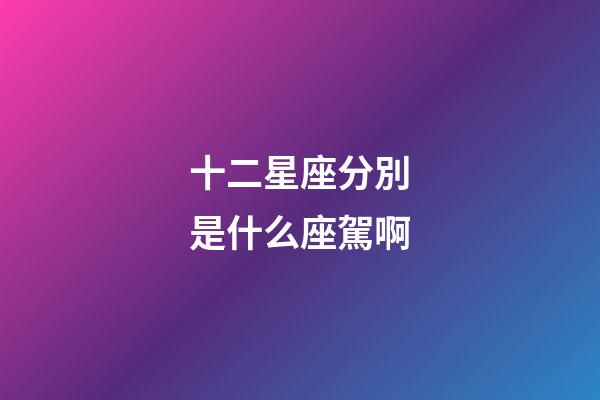十二星座分別是什么座駕啊-第1張-星座運勢-玄機派