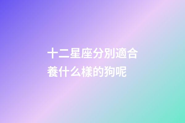 十二星座分別適合養什么樣的狗呢-第1張-星座運勢-玄機派