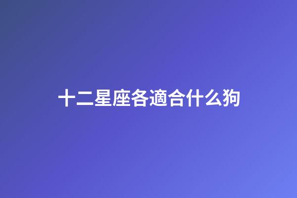 十二星座各適合什么狗