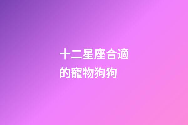 十二星座合適的寵物狗狗-第1張-星座運勢-玄機派