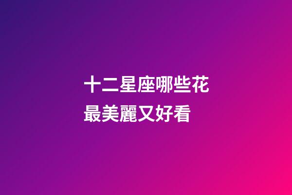 十二星座哪些花最美麗又好看-第1張-星座運勢-玄機派
