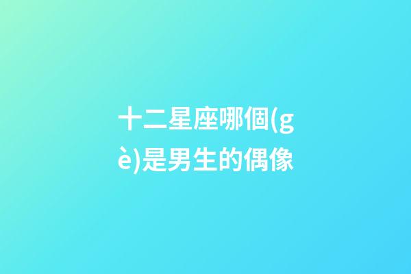十二星座哪個(gè)是男生的偶像-第1張-星座運(yùn)勢(shì)-玄機(jī)派