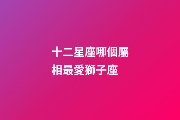 十二星座哪個屬相最愛獅子座-第1張-星座運勢-玄機派