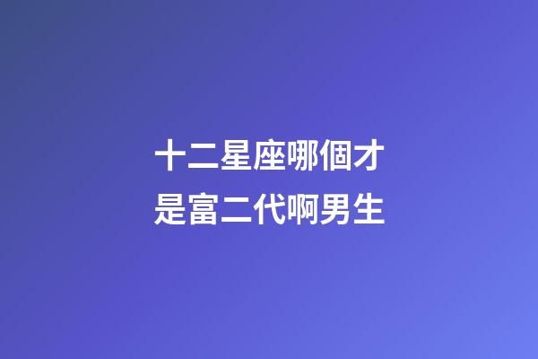 十二星座哪個才是富二代啊男生-第1張-星座運勢-玄機派