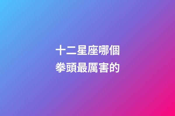 十二星座哪個拳頭最厲害的-第1張-星座運勢-玄機派