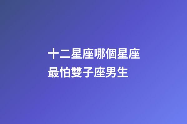 十二星座哪個星座最怕雙子座男生-第1張-星座運勢-玄機派