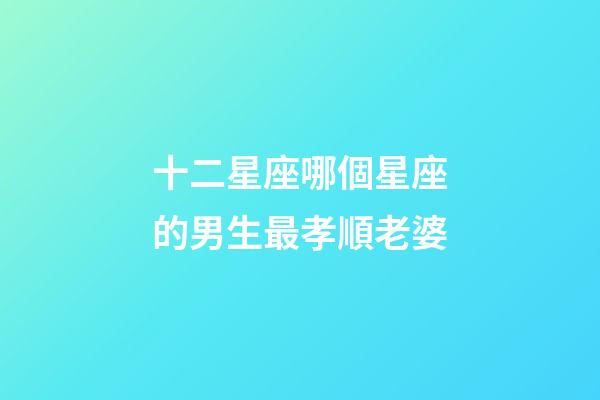 十二星座哪個星座的男生最孝順老婆-第1張-星座運勢-玄機派