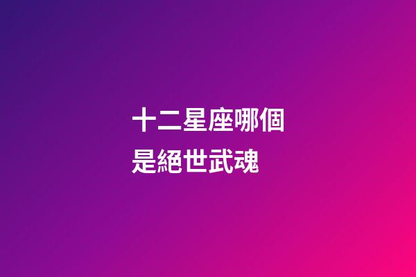 十二星座哪個是絕世武魂-第1張-星座運勢-玄機派