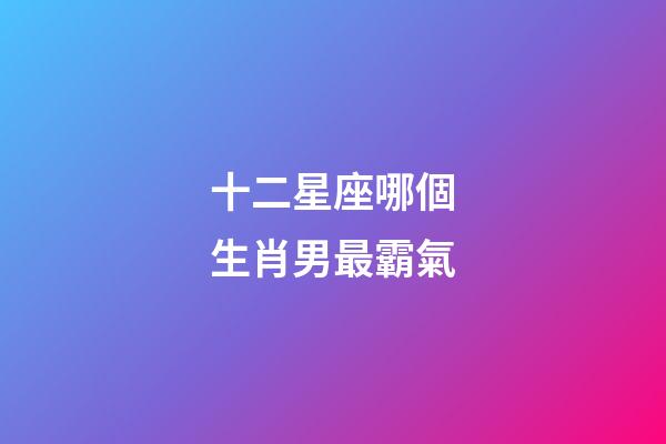 十二星座哪個生肖男最霸氣-第1張-星座運勢-玄機派