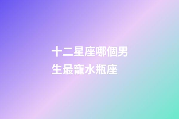 十二星座哪個男生最寵水瓶座