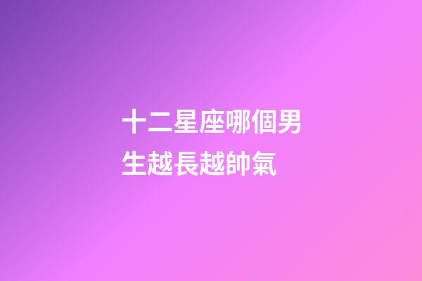 十二星座哪個男生越長越帥氣-第1張-星座運勢-玄機派