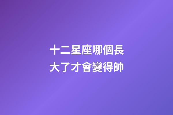 十二星座哪個長大了才會變得帥-第1張-星座運勢-玄機派