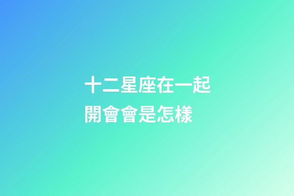 十二星座在一起開會會是怎樣-第1張-星座運勢-玄機派